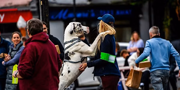 2026 Pooch Parade at Kildare Derby Festival