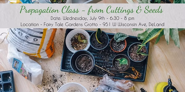 Propagation Class from Cuttings & Seeds