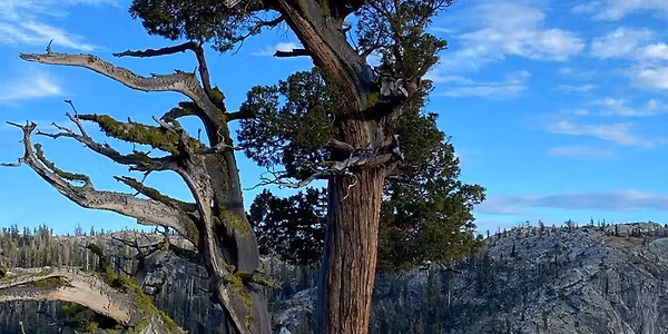 Wild Within: A Backpacking Journey Back to Self Under the Sierra Stars
