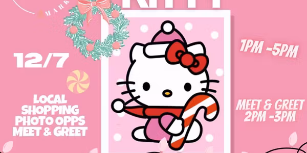 HOLIDAY KITTY MARKET