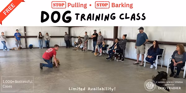 FREE Dog Training Class