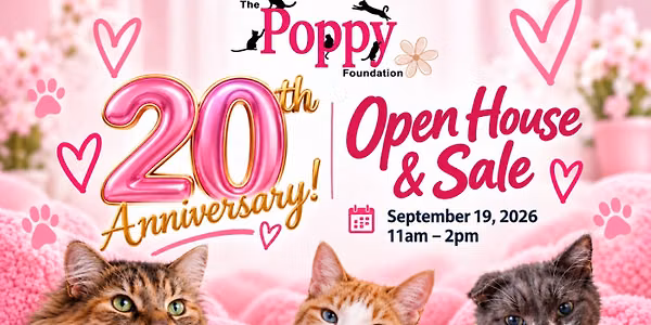20th Anniversary Open House